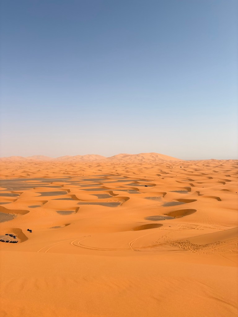 photo credit: Macey McKeever