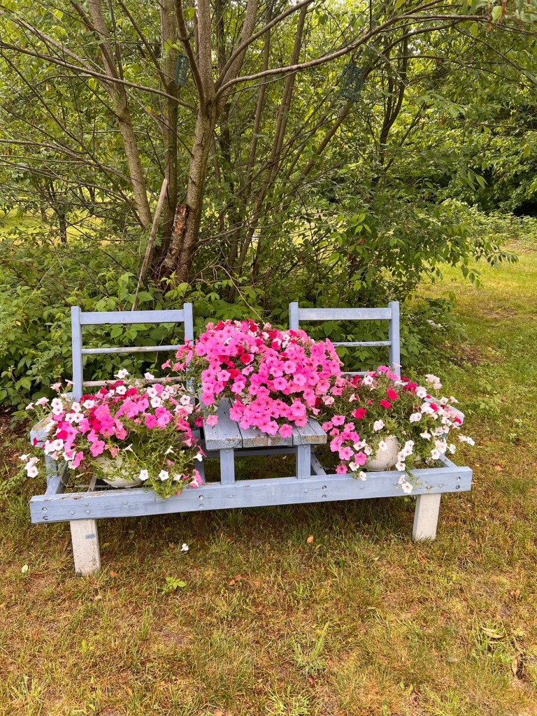 bench flower garden