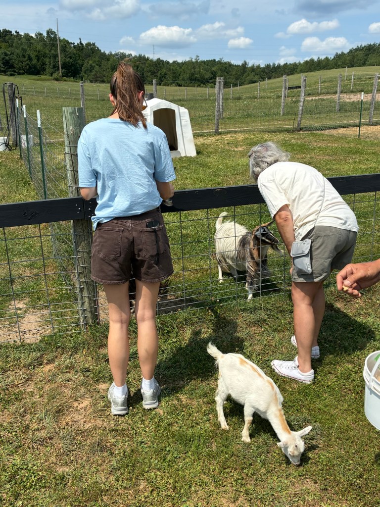 Two people interacting with animals at a farm. A woman in a gray shirt is leaning over a fence, while a girl in a blue shirt and shorts stands nearby. A small goat is grazing on the grass.